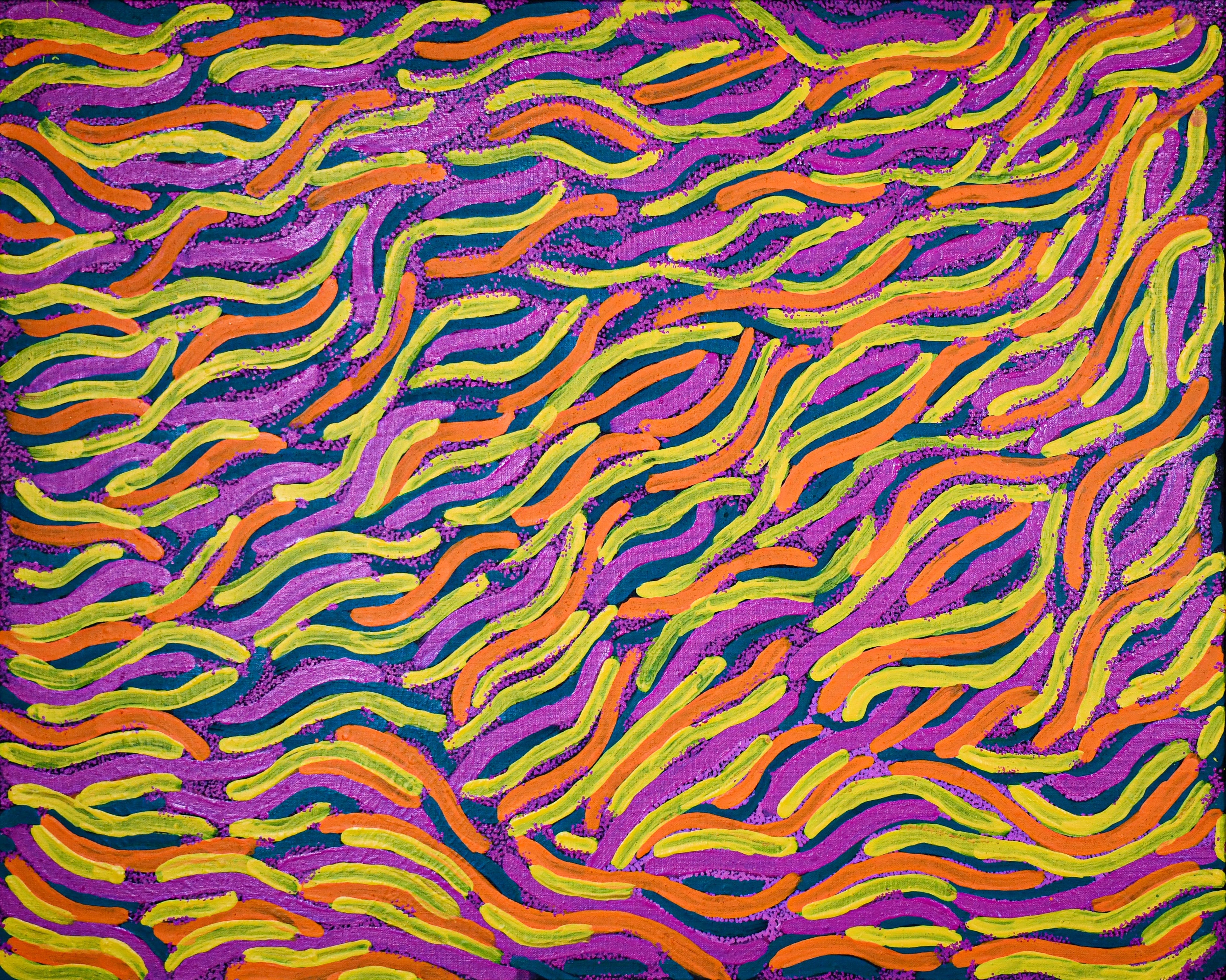 Bush Medicine by Jolene Napaljarri Murphy