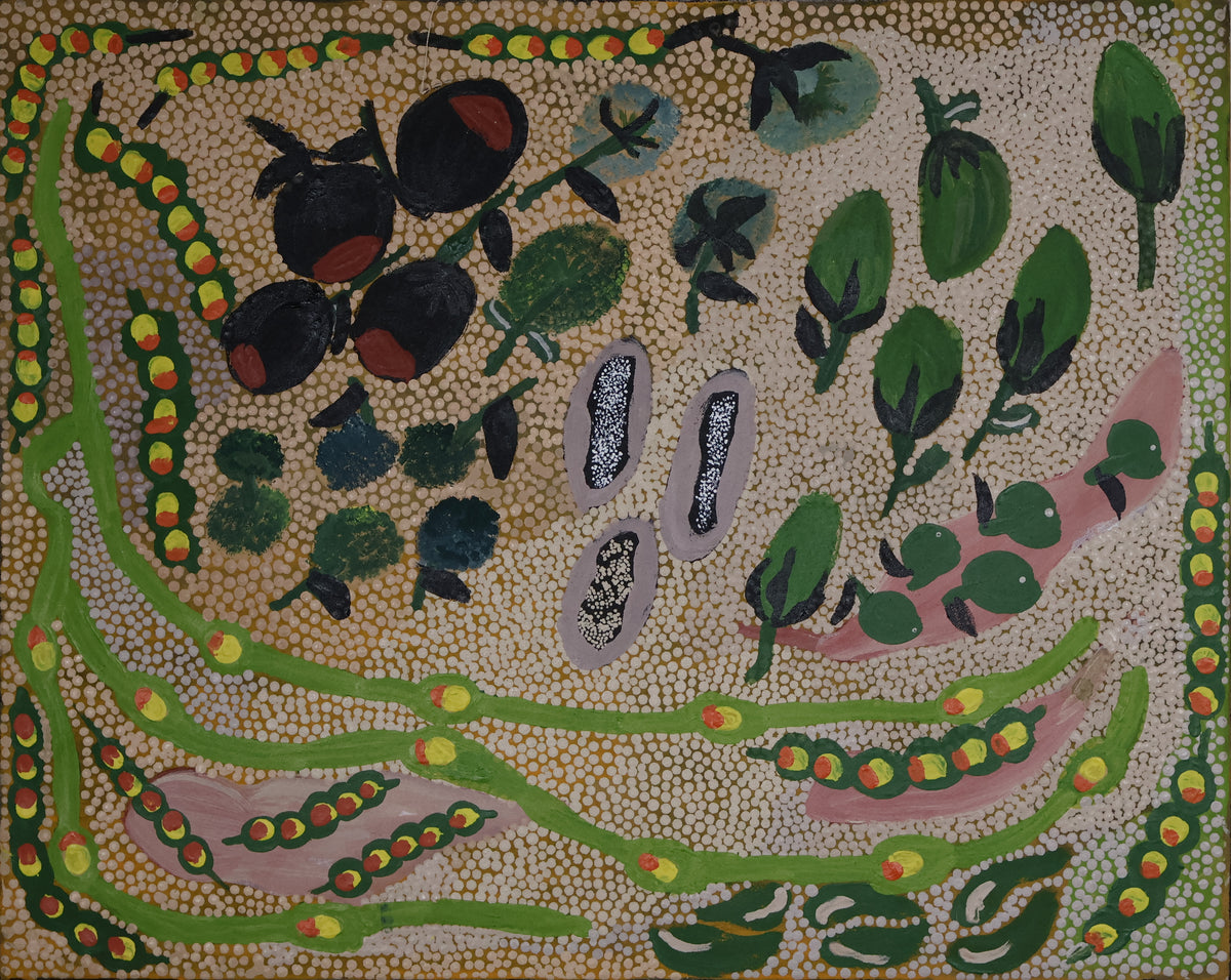 Bushtucker by Martha  Nakamarra Poulson