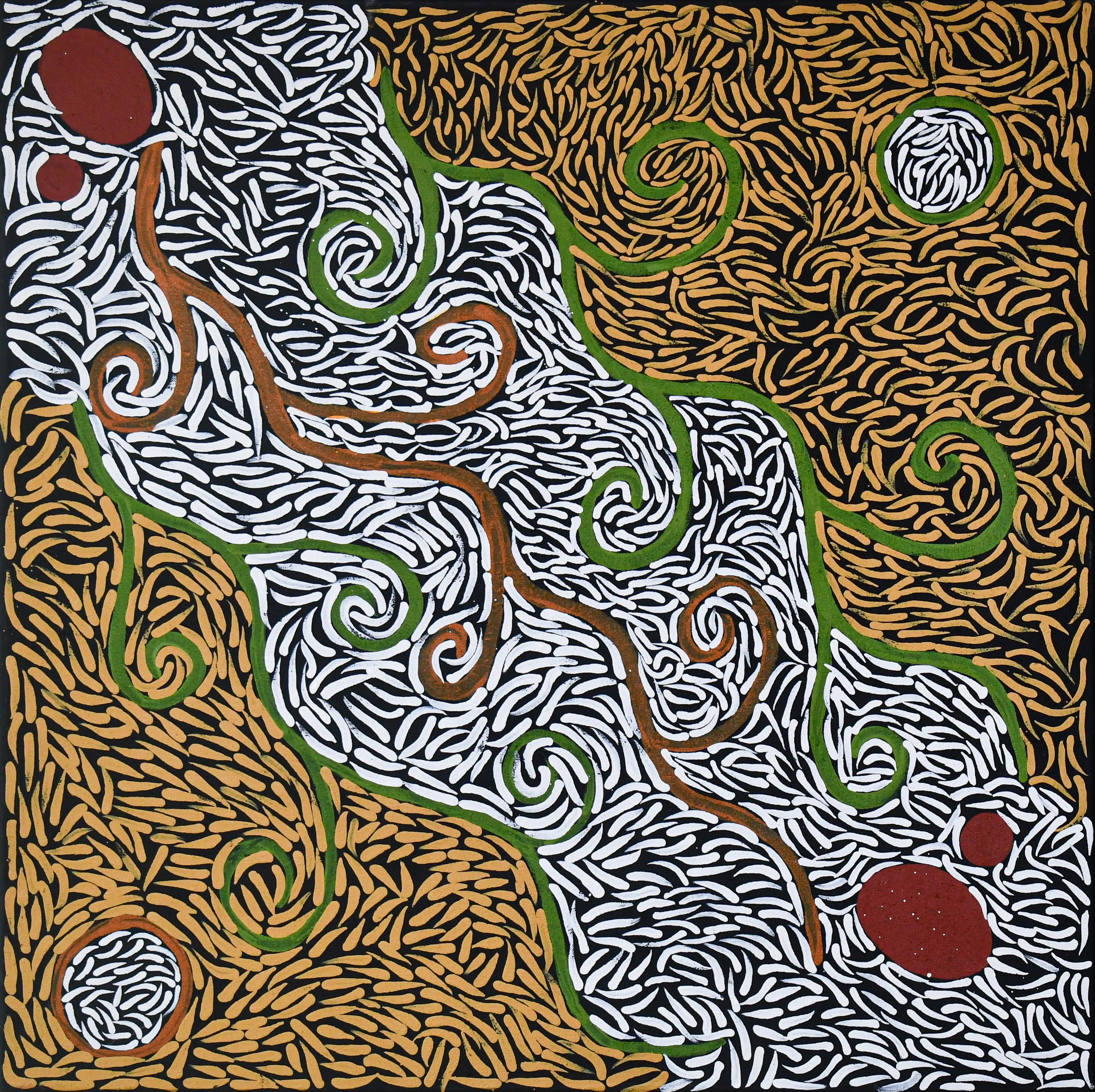 Bush Medicine by Jaclyn Holmes