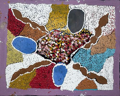 My Father's Country by Jennifer Nakamarra Nelson