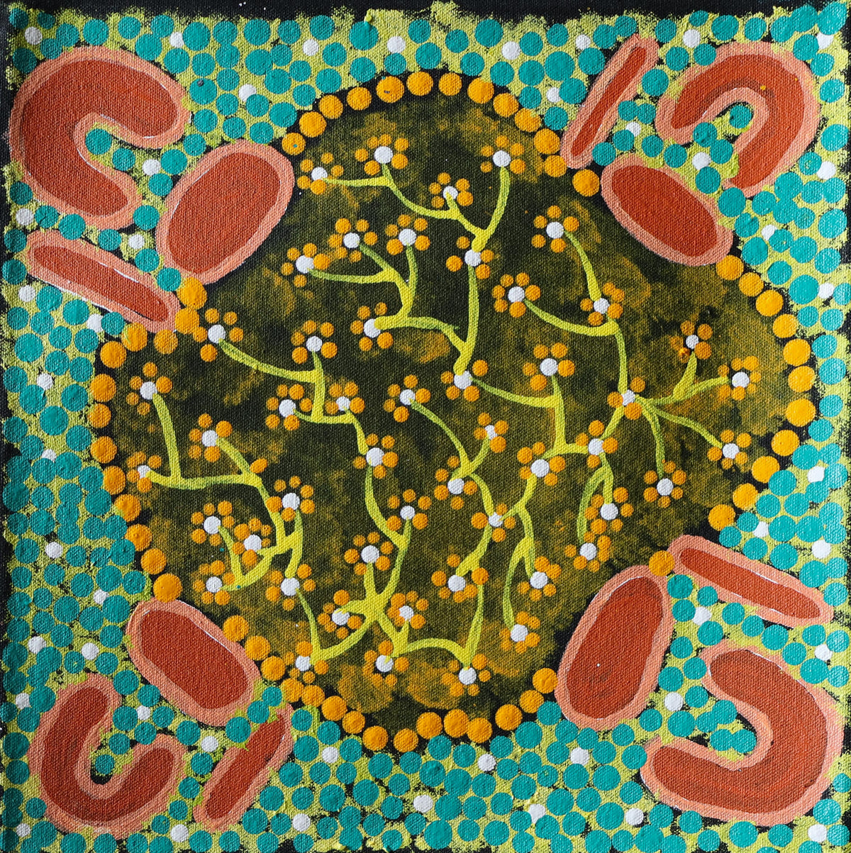 Bush Medicine by Jaclyn Holmes