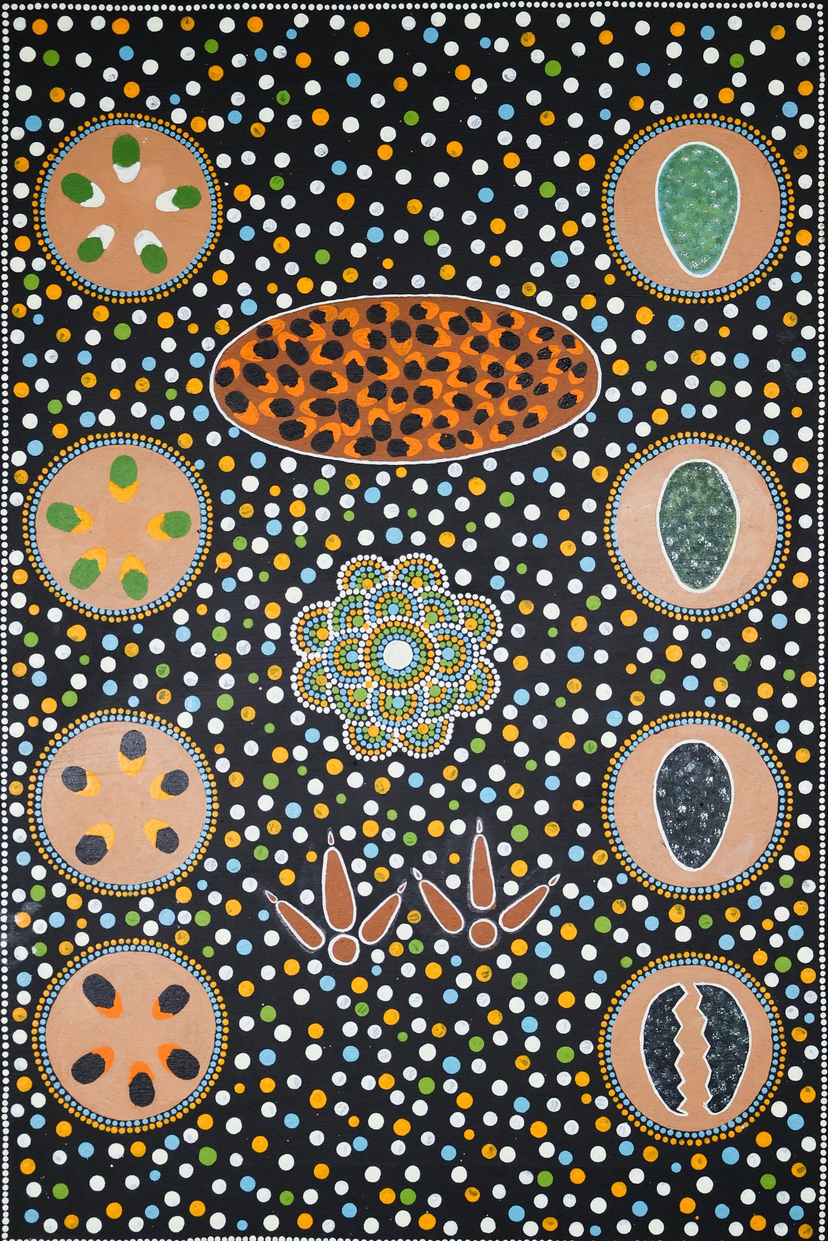 Story about the Bush Bean by Lincoln Corbett