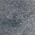 Ngurlu (bush seeds) by Julie Pula Wauchope
