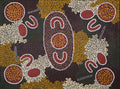 Bush Tomatoes are the Yellow Ones by Rachel  Nangala Rankine