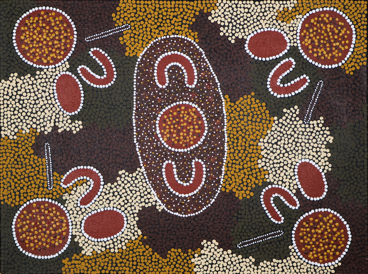 Bush Tomatoes are the Yellow Ones by Rachel  Nangala Rankine