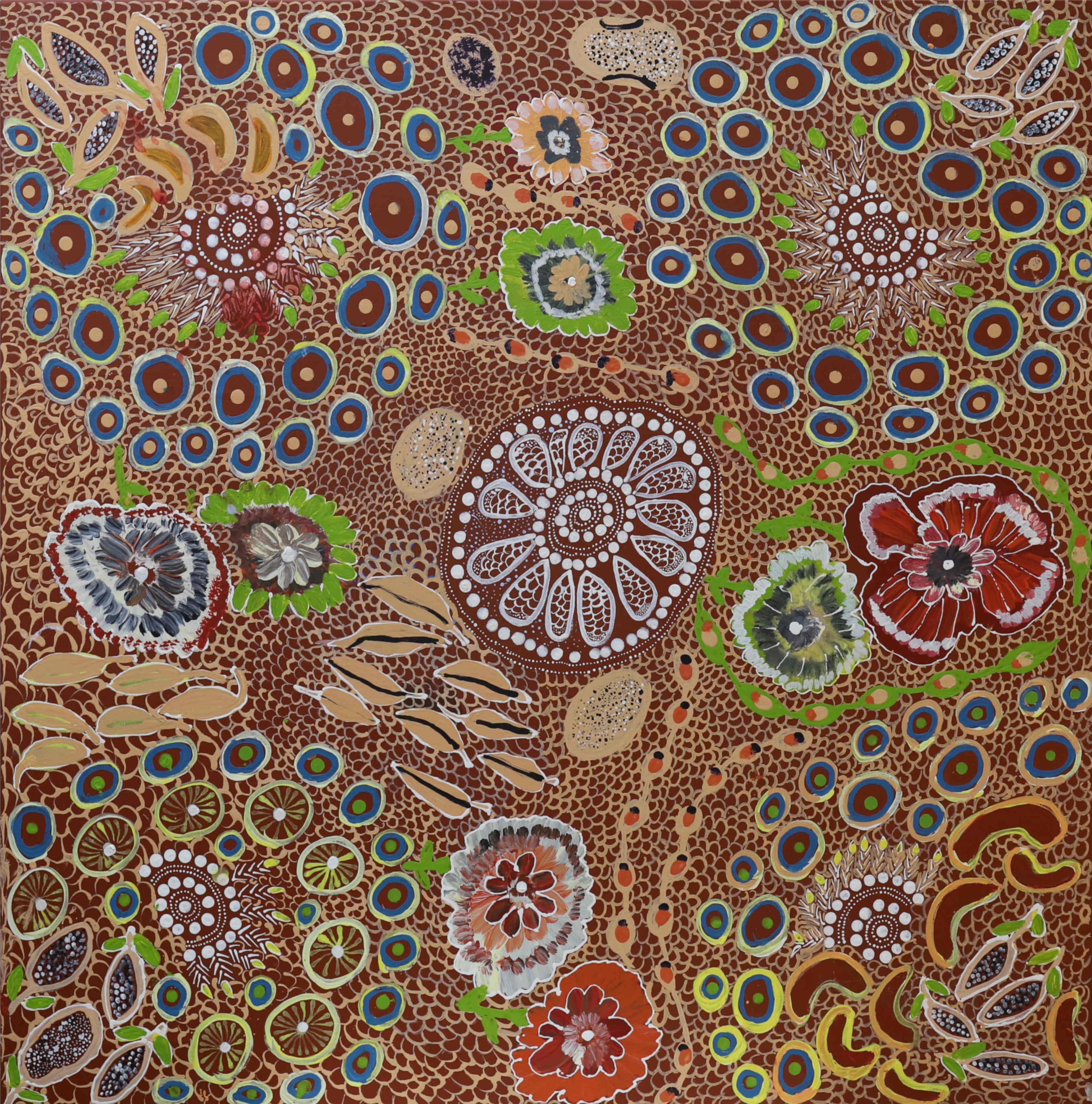 Where the Wild Flowers Grow by Martha  Nakamarra Poulson