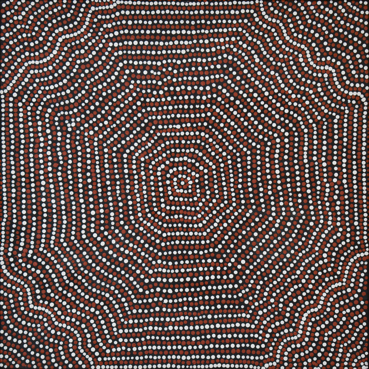 Bush Seeds by Stephanie Holmes