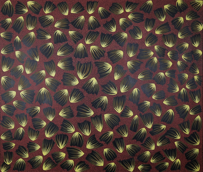 Bush Medicine Leaves by Rachel  Nangala Rankine