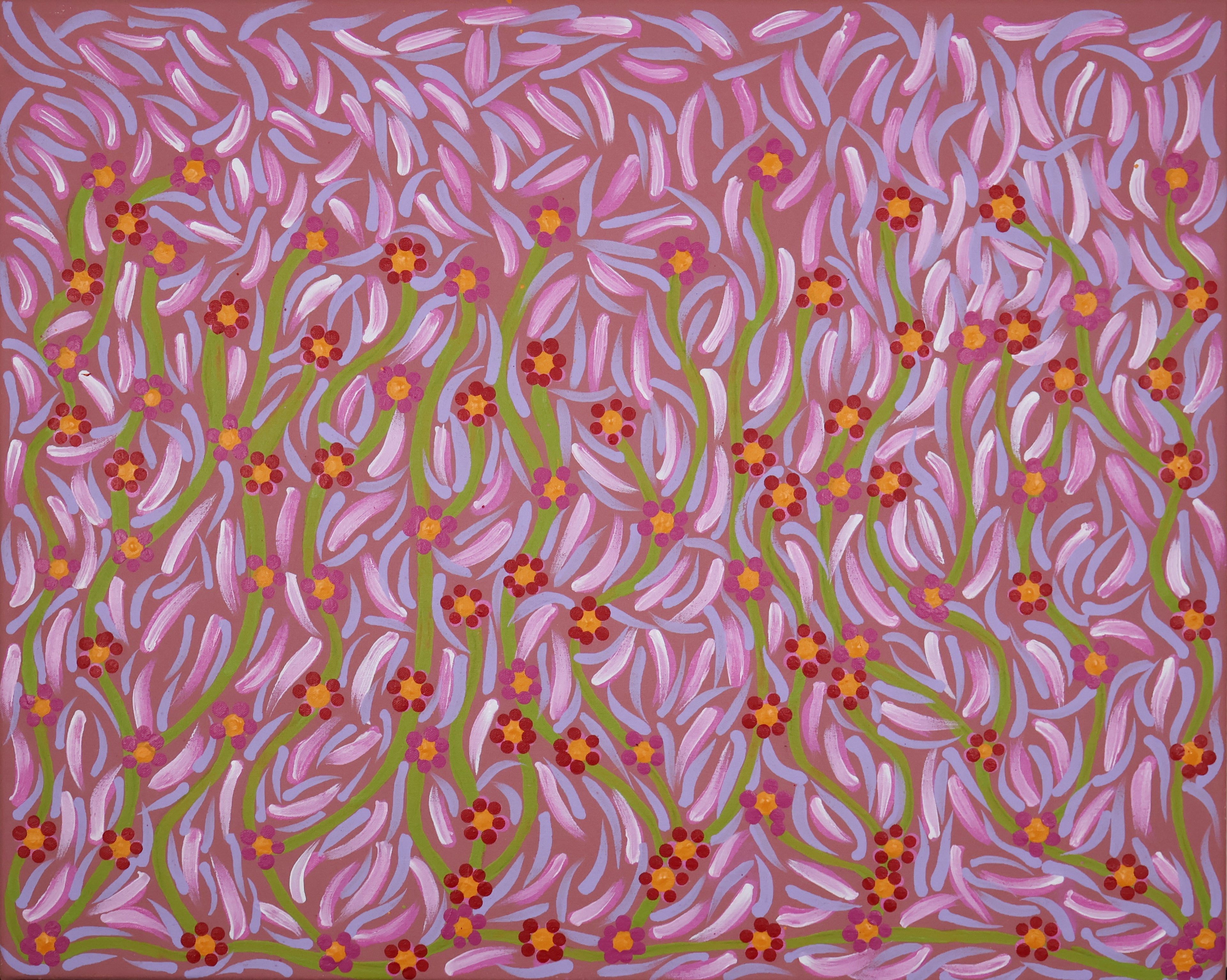 Bush Medicine by Jaclyn Holmes